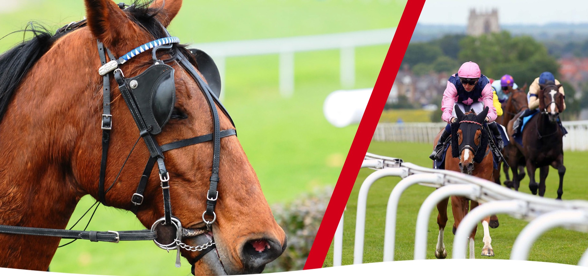Horse Racing